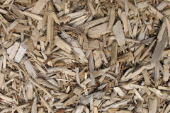 biomass boilers Tayvullin